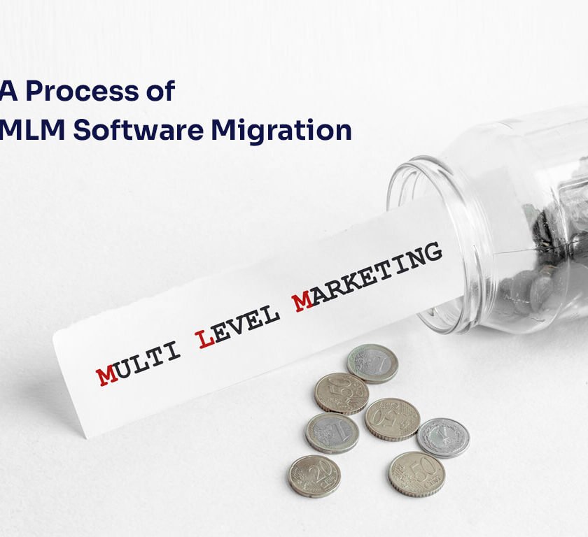 Process of MLM Software Migration