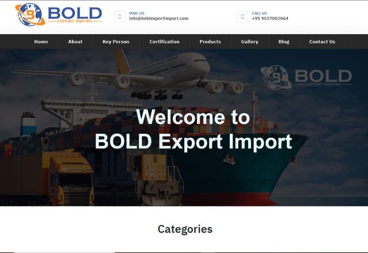 Bold Export Import website screenshot 1 - homepage of professional website