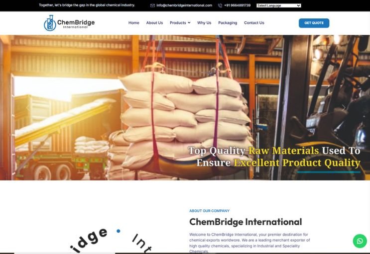 Chembridge International website screenshot 1 - homepage of corporate website