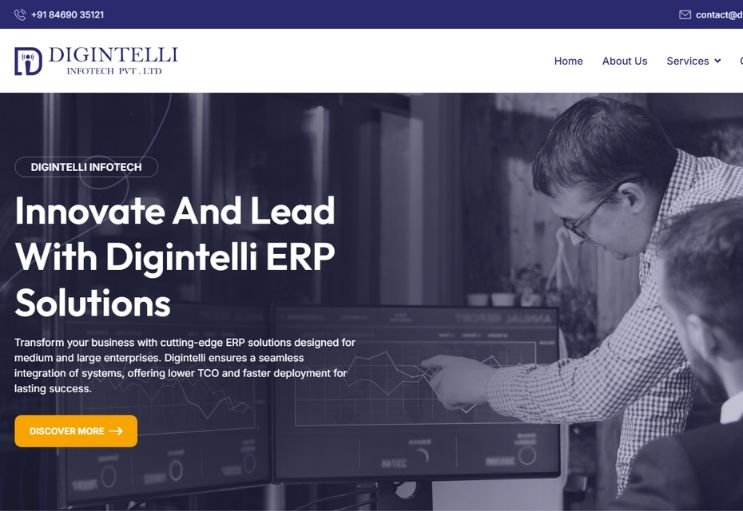 Digintelli website screenshot 1 - homepage of professional website