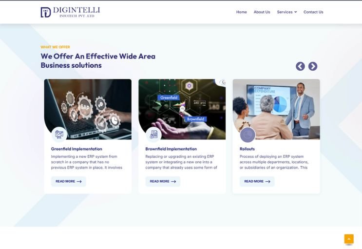 Digintelli website screenshot 2 - inner page of professional website