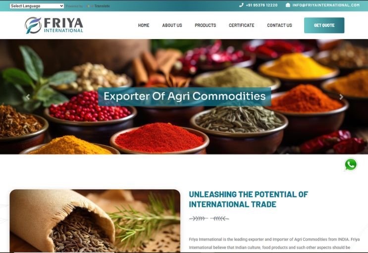 Friya International website screenshot 1 - homepage of professional website