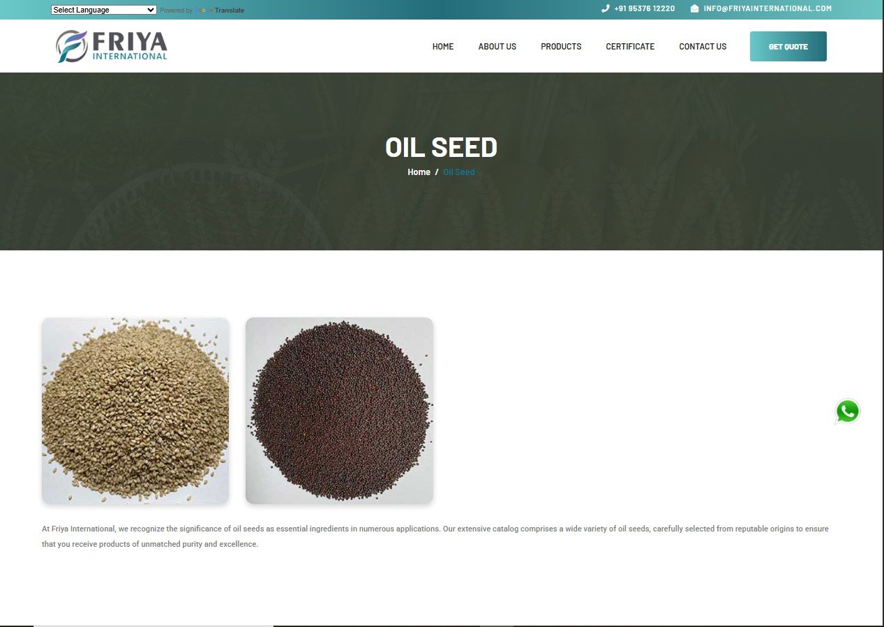 Friya International website screenshot 2 - inner page of professional website