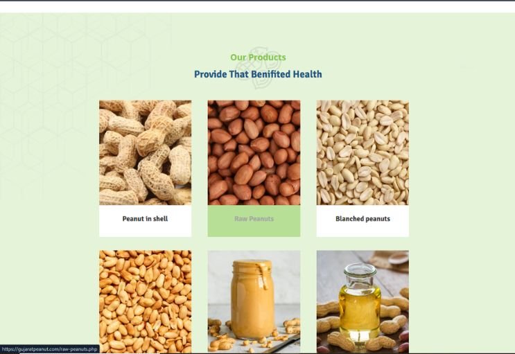 Gujarat Peanut website screenshot 2 - inner page of product catalog website