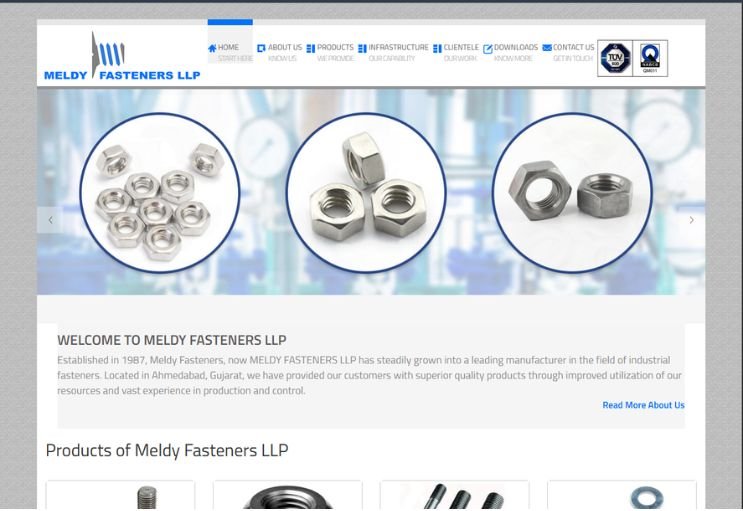 Meldy website screenshot 1 - homepage of business website