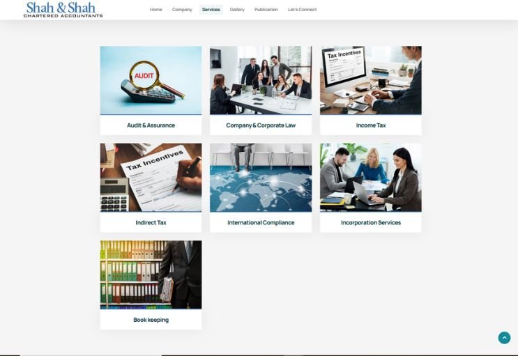 Shah And Shah CA website screenshot 2 - inner page of professional website