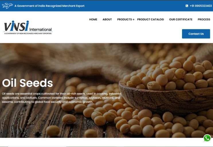 Vinsi International website screenshot 1 - homepage of professional website