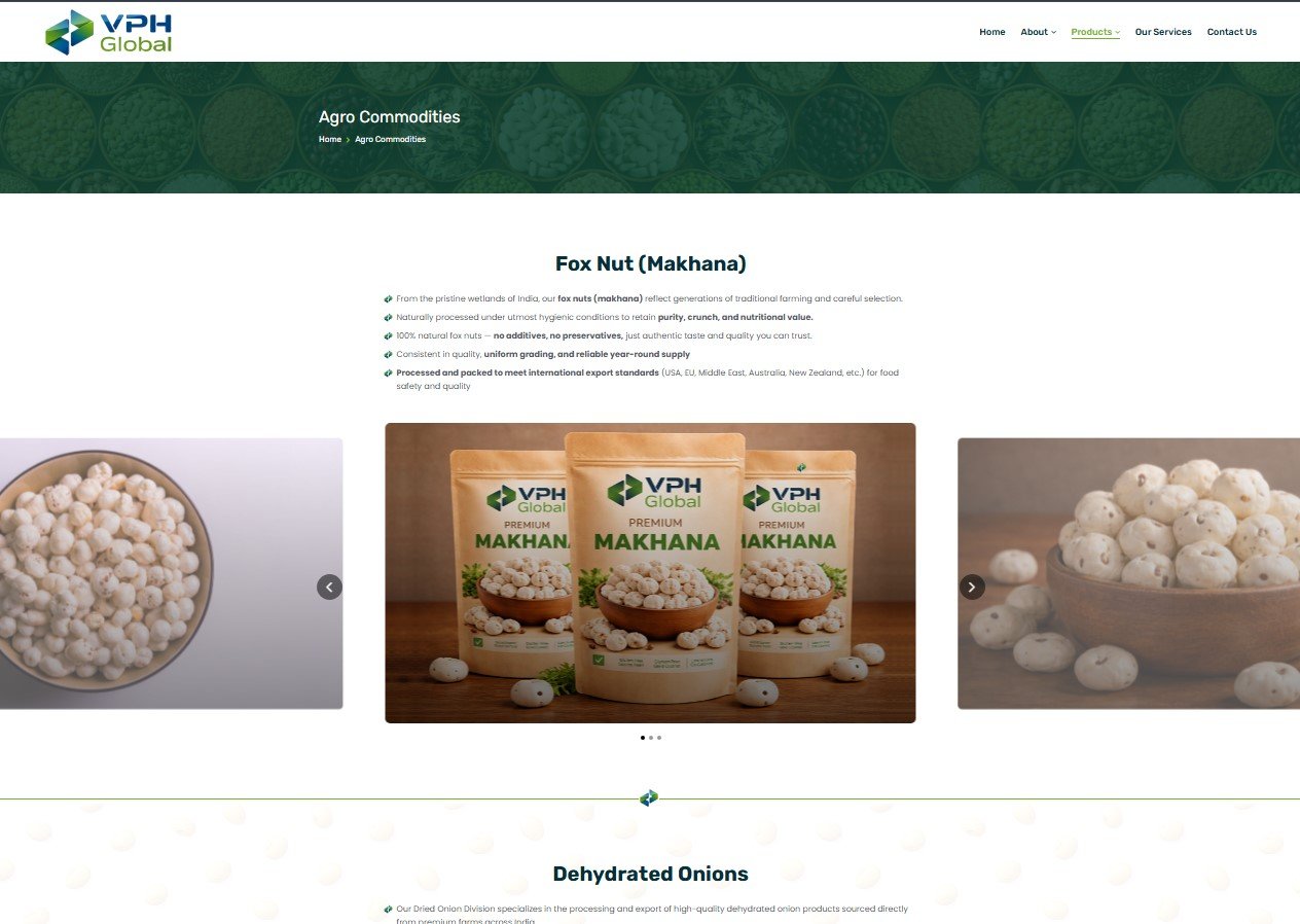 VPH Global website screenshot 2 - inner page of professional website