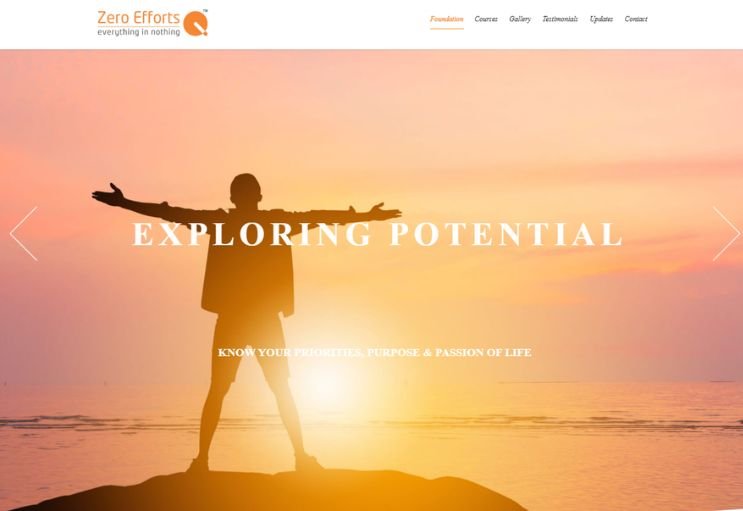 Zero Efforts website screenshot 1 - homepage of professional website